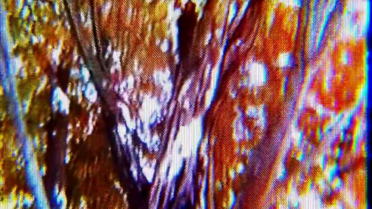 Daily Walk - French Soup(Video)
