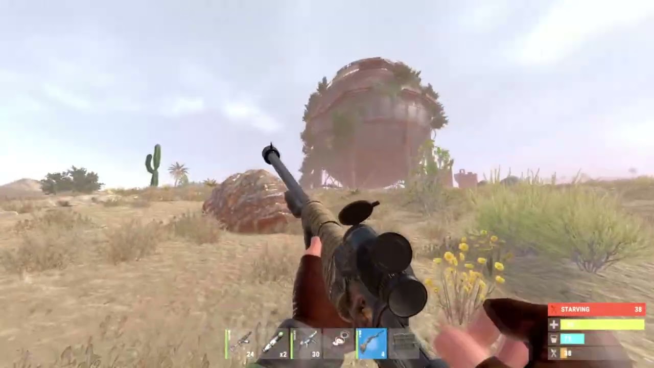 Random clips of rust to entertain you