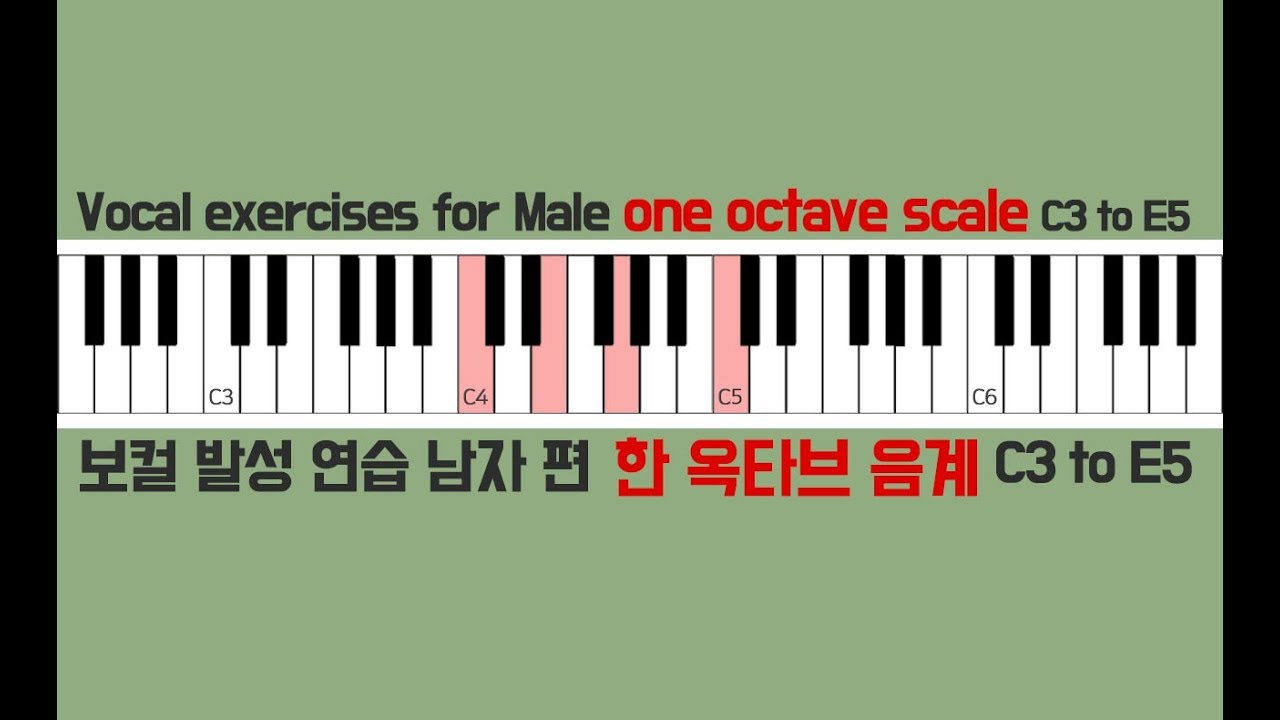 vocal warm up exercises male piano scale 'one octave' / 보컬 발성연습 피아노 스케일 '한 옥타브' 음계 남자 편