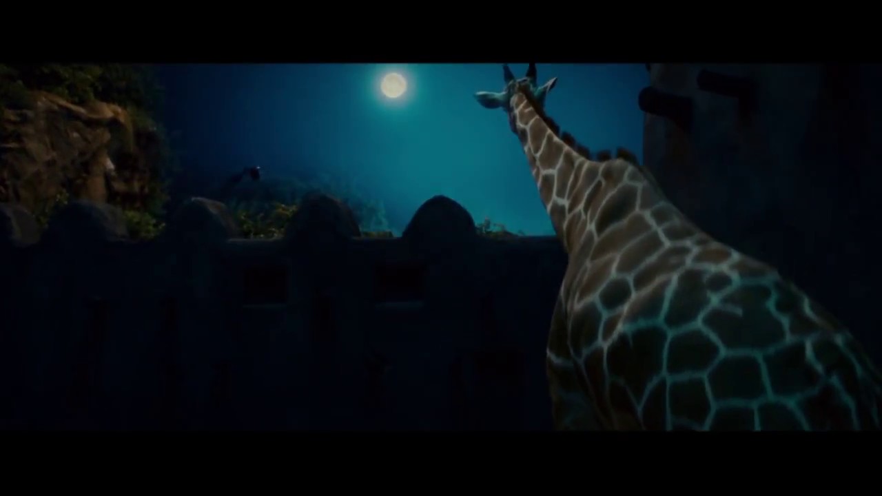 When the zoo was empty, the animals would gather for a meeting