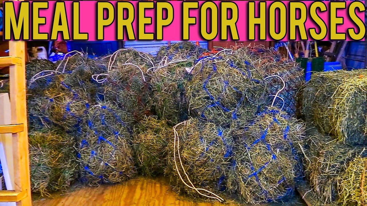 Filling All My Hay Nets | Meal Prep For Horses | So Satisfying!