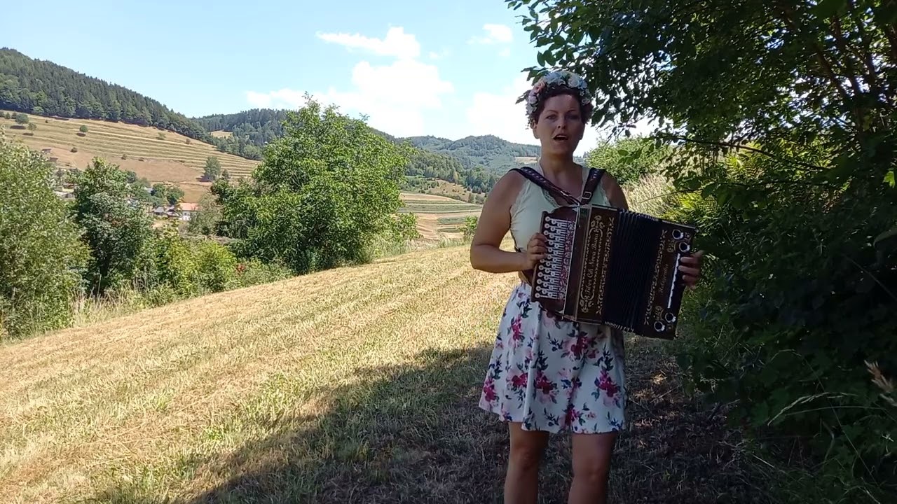 Heligónka- Nik sa mi nepáči