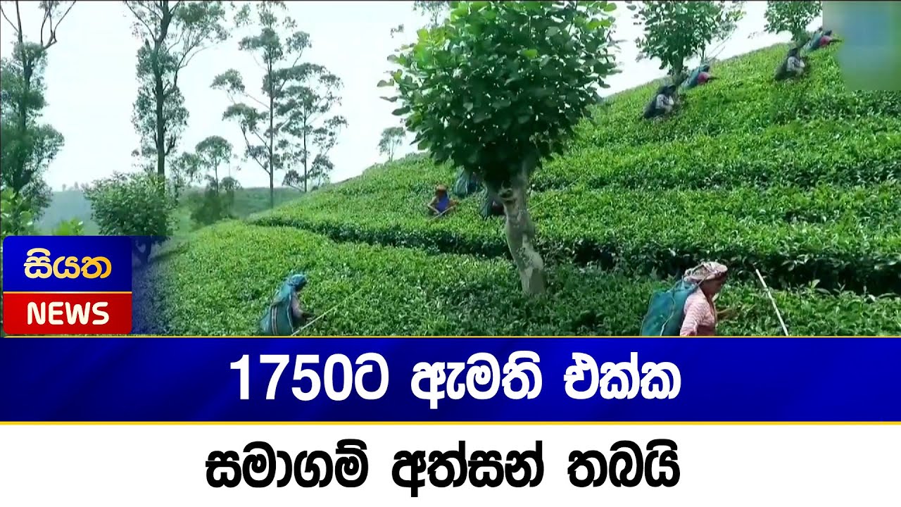 1750ට ඇමති එක්ක සමාගම් අත්සන් තබයි | Siyatha News