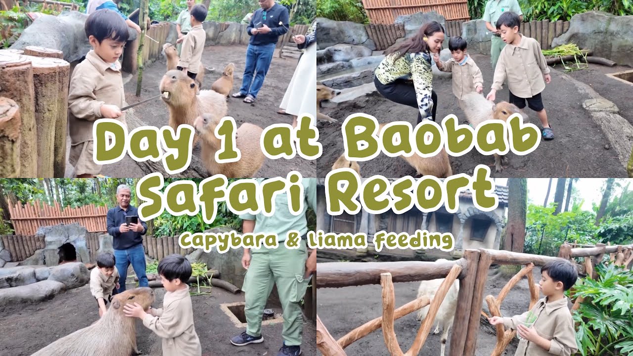 Day 1 at Baobab Safari Resort - Capybara & Liama Feeding