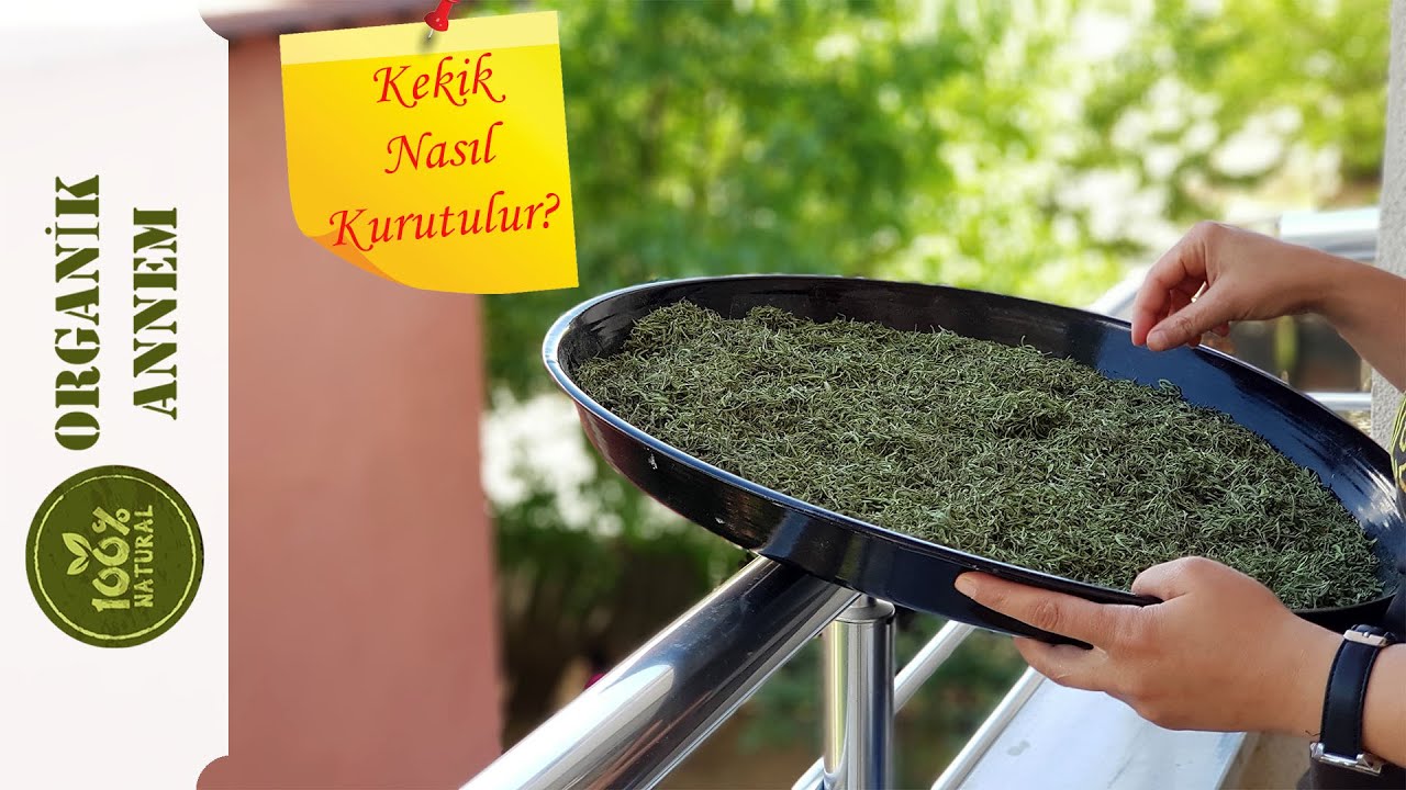 KEKİK NASIL KURUTULUR - KEKİK KURUTMANIN İNCELİKLERİ