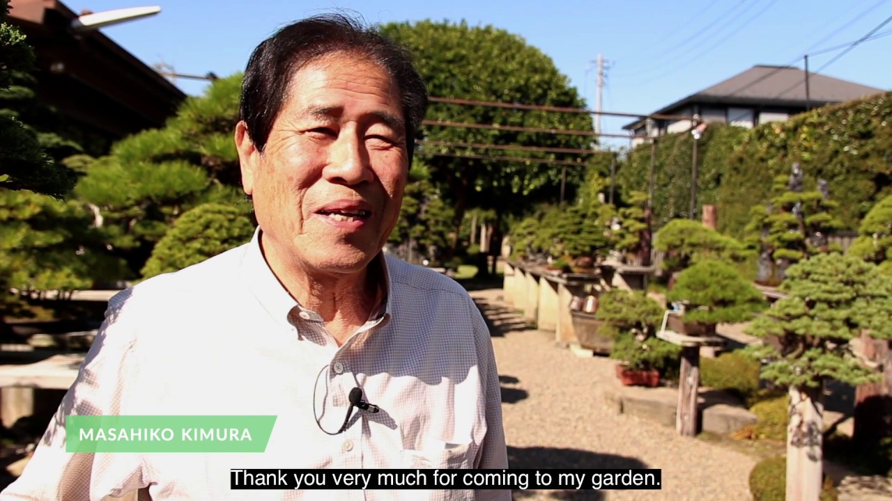 Mashiko Kimura's bonsai garden