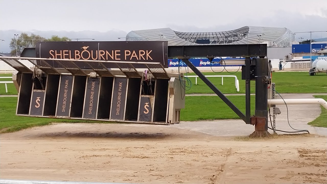 Introduction to Shelbourne Park Greyhound  Stadium in Dublin