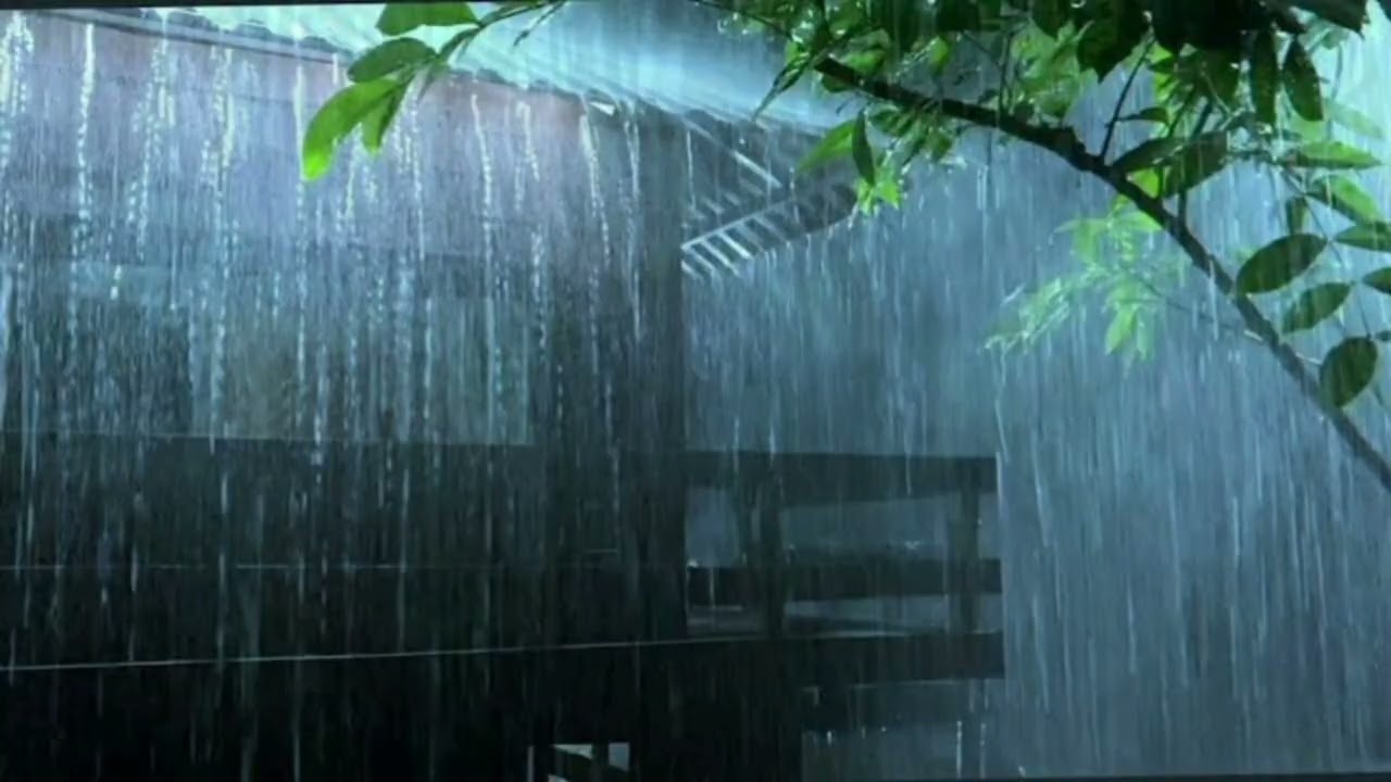 LLUVIA FUERTE en Techo de Calamina para DORMIR en 5 Minutos 🌧️