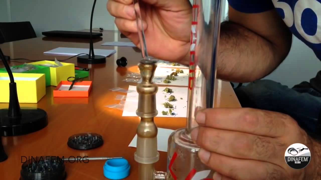 Cannabis ✤ Cata de muestras de marihuana y hach&iacute;s de la copa cann&aacute;bica Expogrow