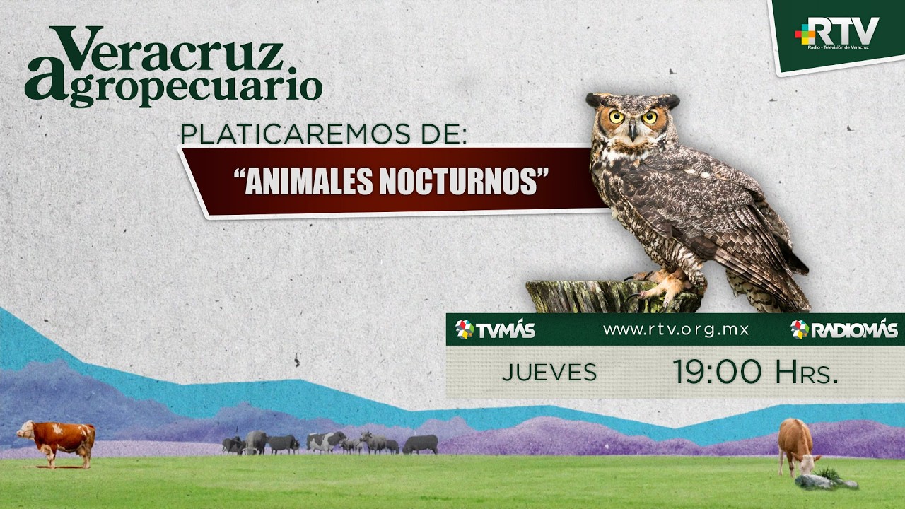Veracruz Agropecuario - Animales Nocturnos