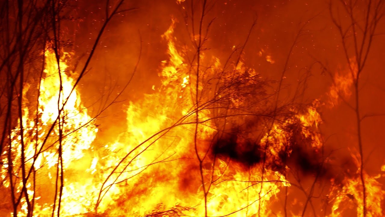More than 700 firefighters battle out-of-control blazes across Victoria