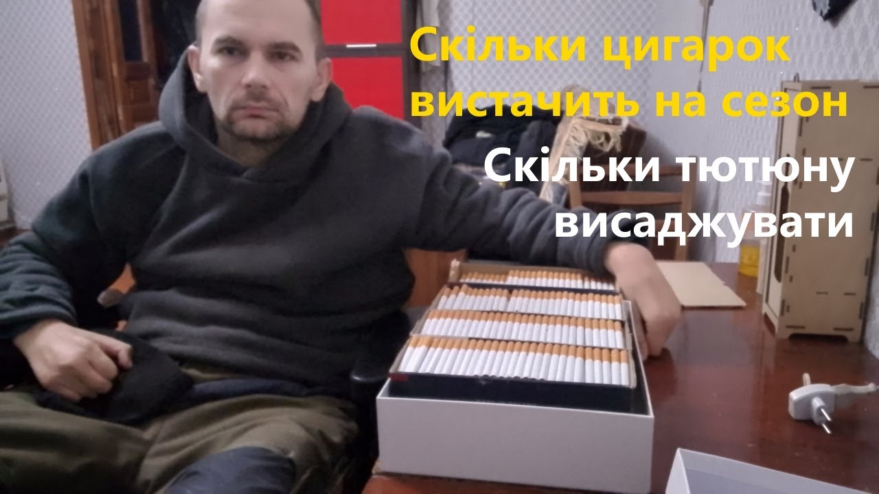 Скільки тютюну треба на сезон. Скільки кущів тютюну висаджувати для однієї людини. Скільки цигарок?
