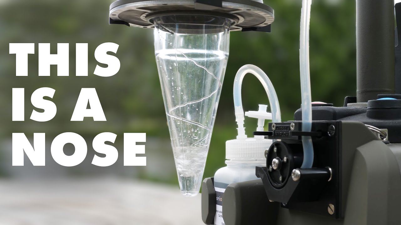 Why mechanical noses are so clever