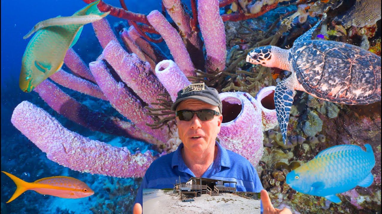 Diving Bonaire’s Surf Paradise ep. 25