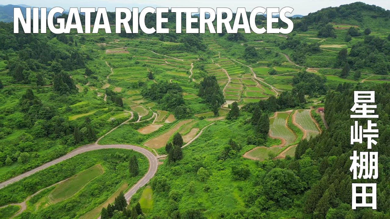 星峠棚田 | Hoshi Pass Rice Terraces
