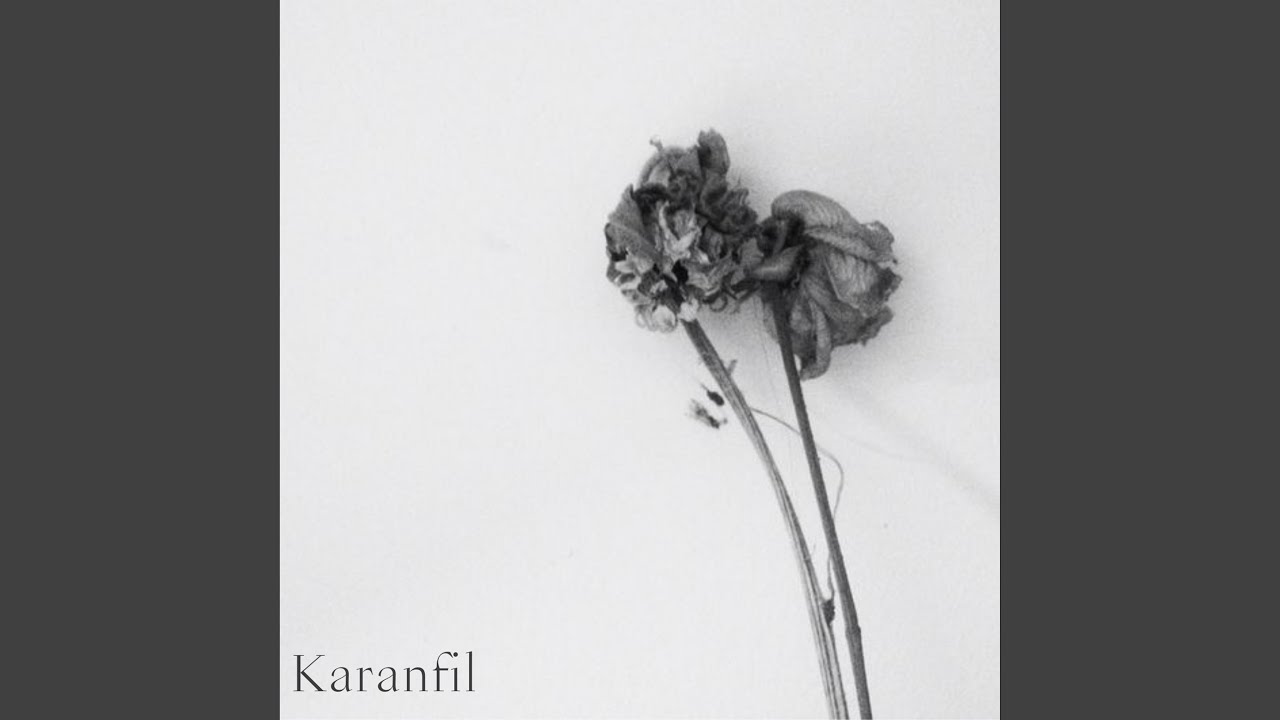 Karanfil