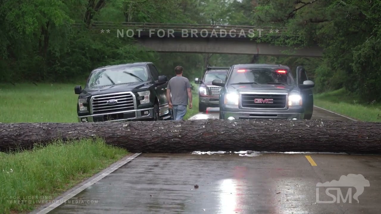 04-05-2023 Canton, MS - Severe Storms Drop Hail - Down Trees in Natchez Trace
