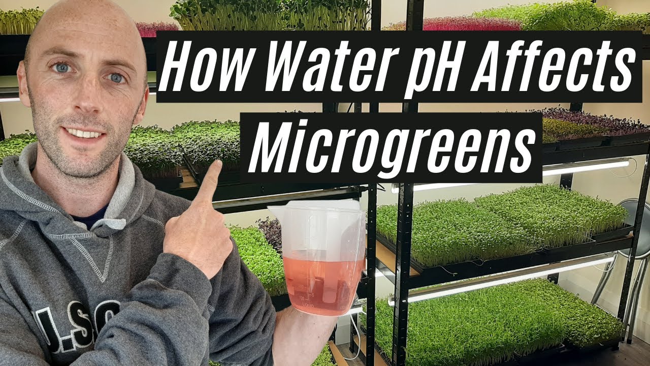 How Water pH Affects Microgreens