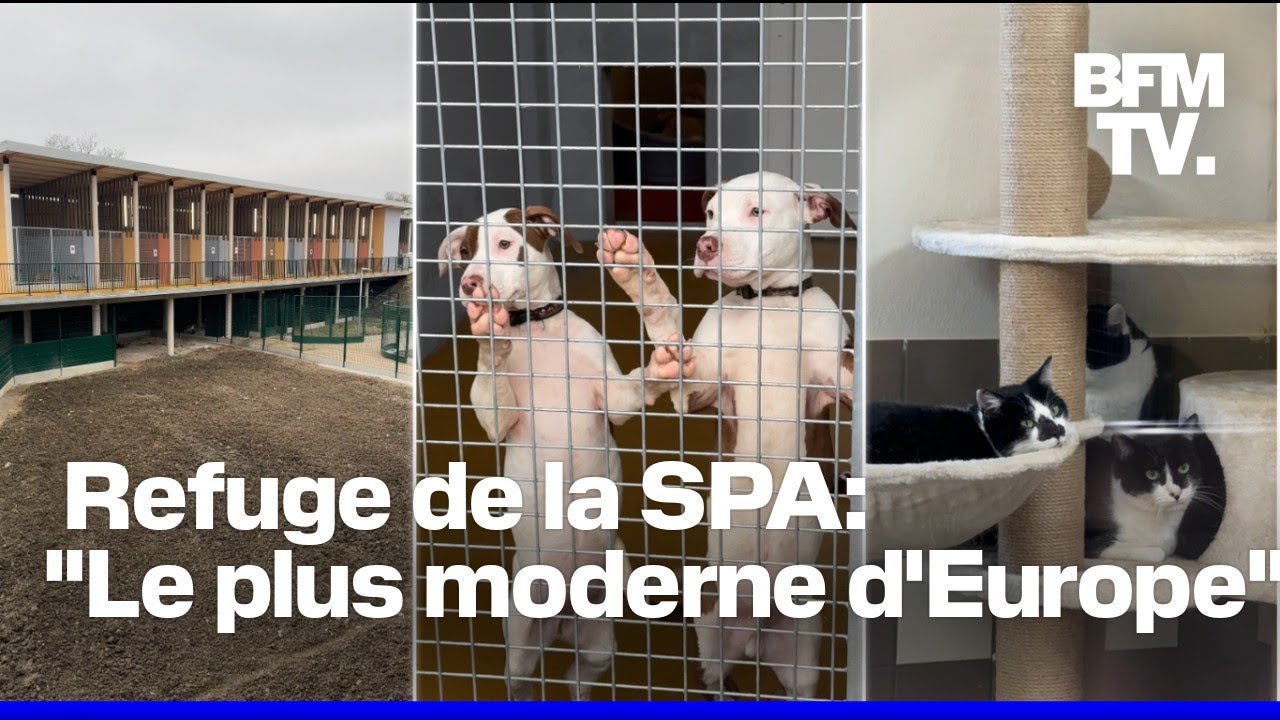 Le refuge 