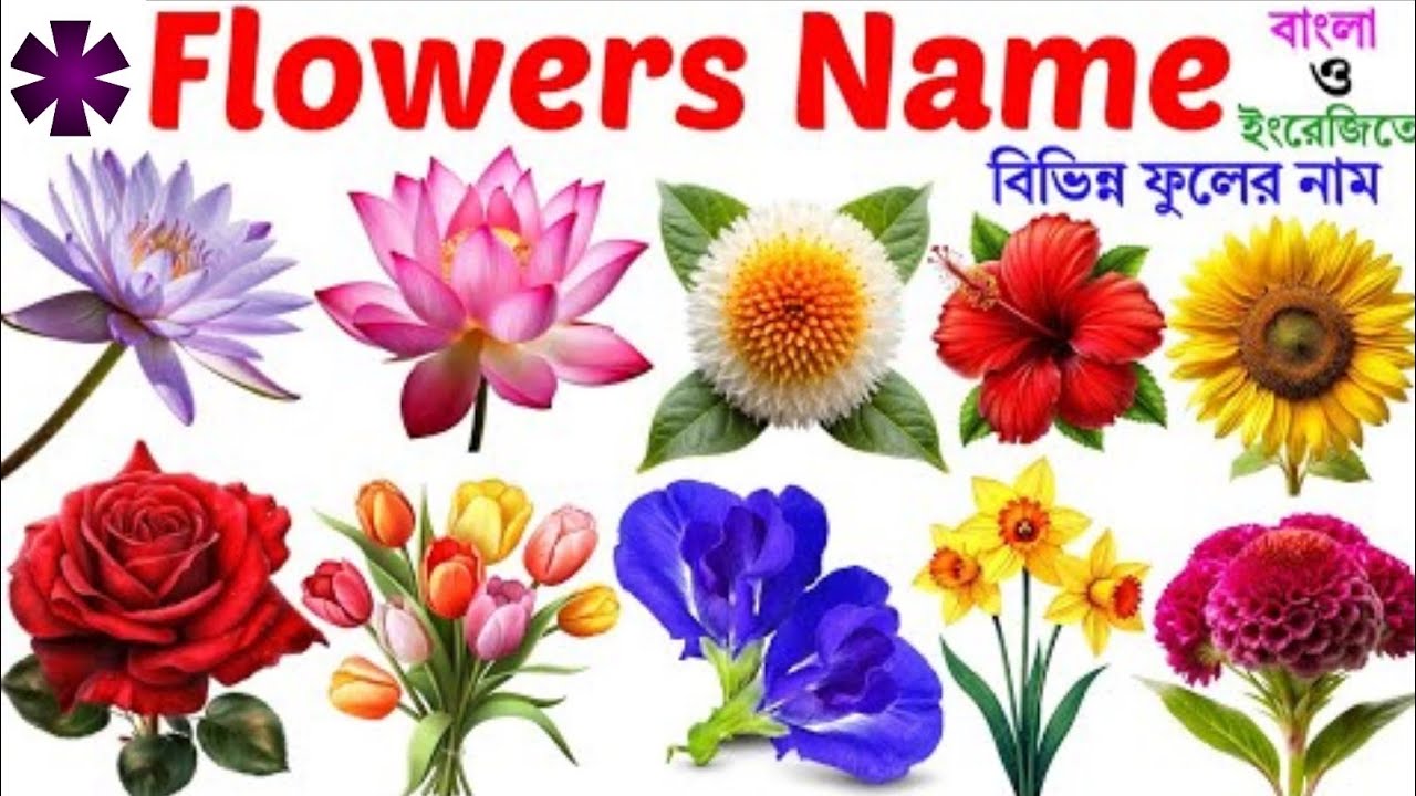 ফুলের নাম বাংলা ও ইংরেজিতে ছবি সহ | Flowers 🥀🪻🌷Name with Pictures | Kids Education