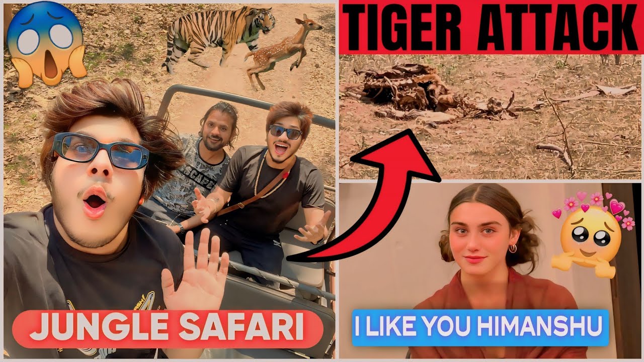 TIGER ATTACK IN JUNGLE SAFARI 😰