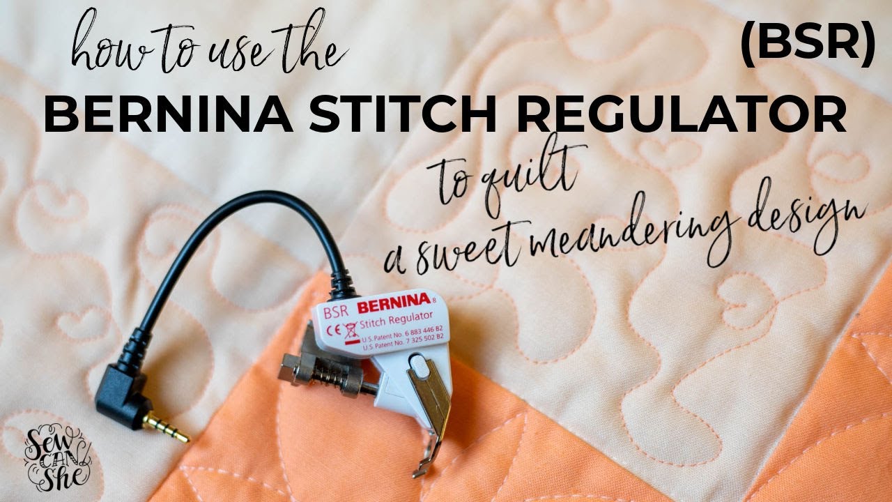 How to Use the BSR Bernina Stitch Regulator to Free Motion Quilt a Cute Meandering Design (tutorial)