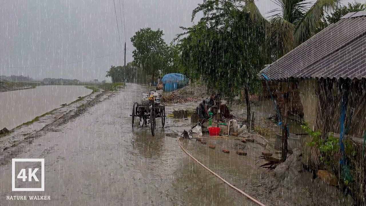 🌧️This Is Village Life During the Rainy Season | Beautiful Rain ASMR