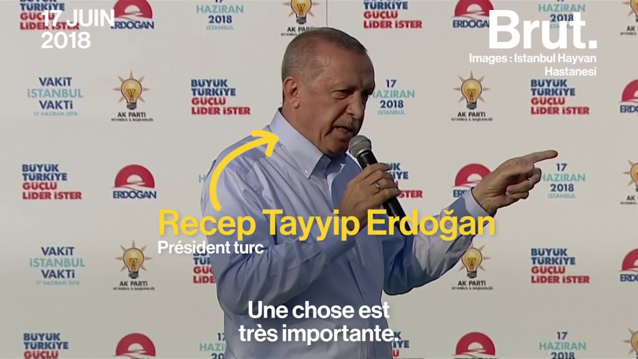Turquie : comment un chiot a bousculé les élections présidentielles