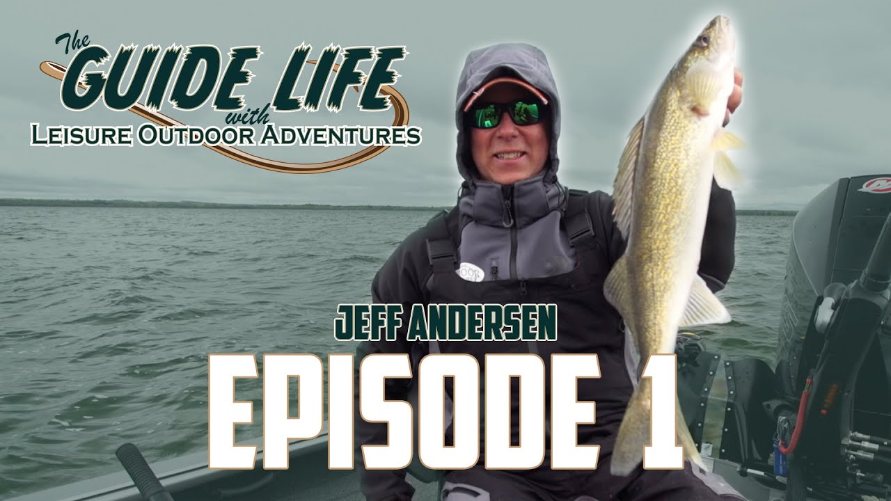 Shallow Water Walleyes on Leech Lake