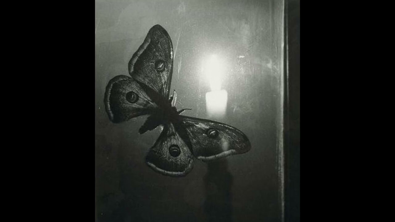 01. LB - BUTTERFLY EFFECT 2 (Prod by DEXTAH)