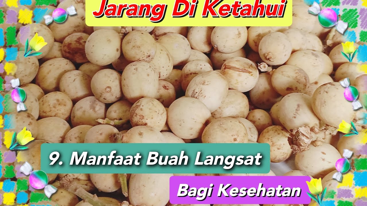 9. Manfaat Buah Langsat Bagi Kesehatan