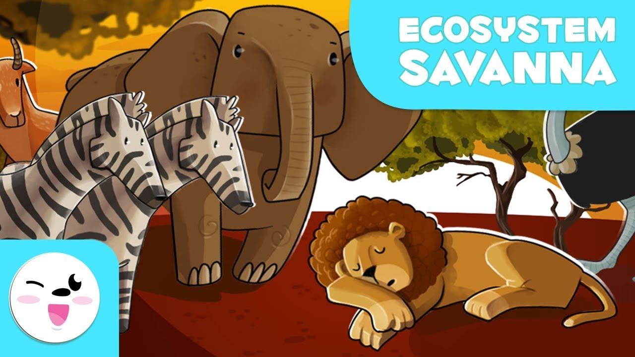 Animals of the Savanna - Learning Ecosystems for Kids
