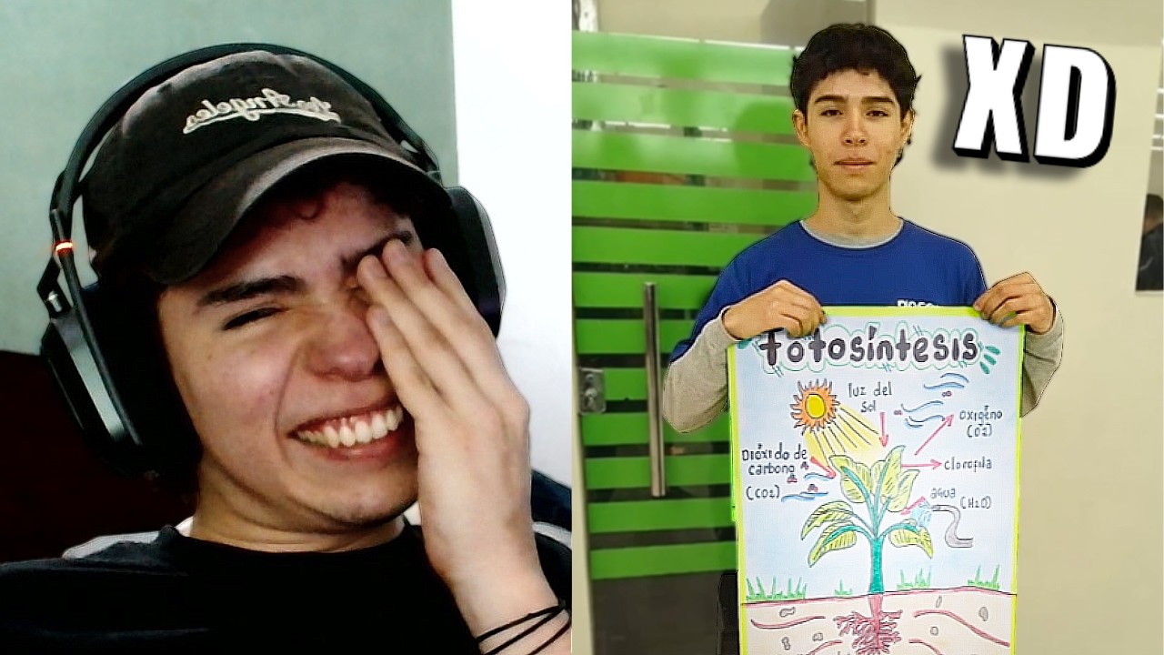 MIS SUBS MANDAN MEMES POR DISCORD #12