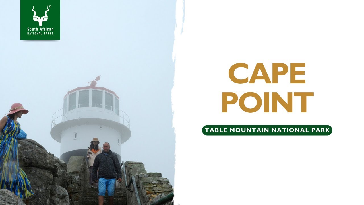 Cape Point | Table Mountain National Park #SANParks