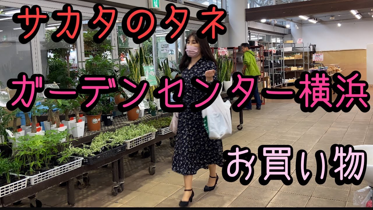 【サカタのタネ】ガーデンセンター横浜に行ってきました。