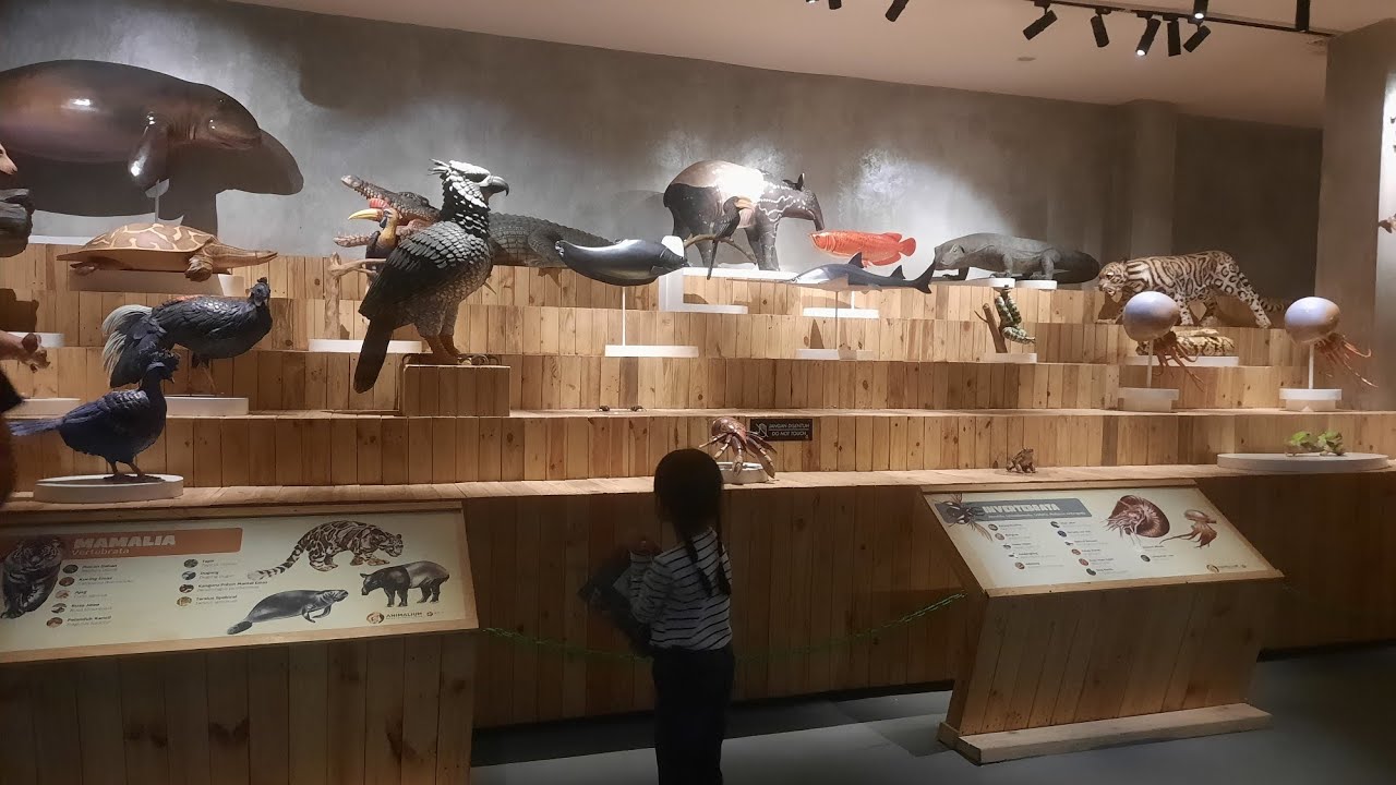 Animalium BRIN