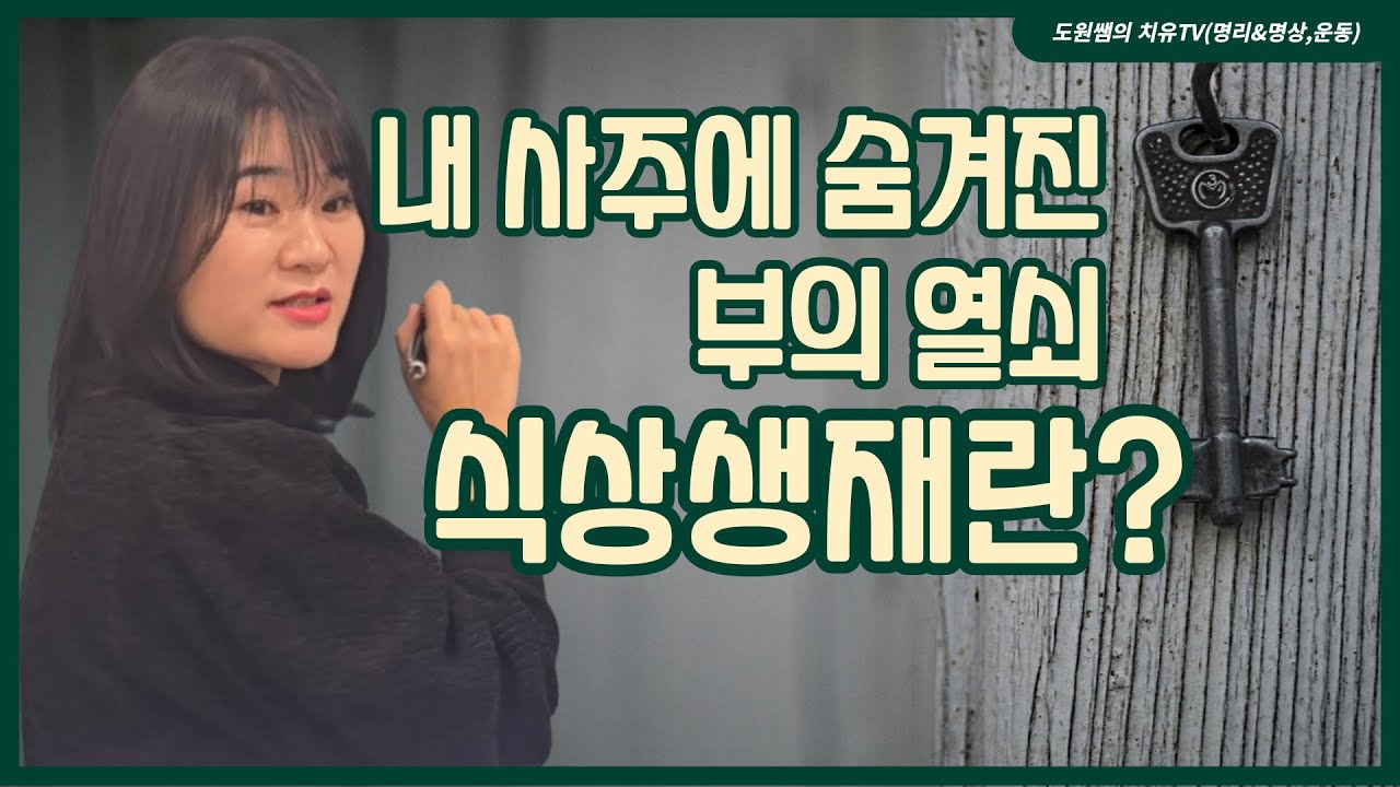 내 사주에 숨겨진 부의 열쇠 | 식상생재란?