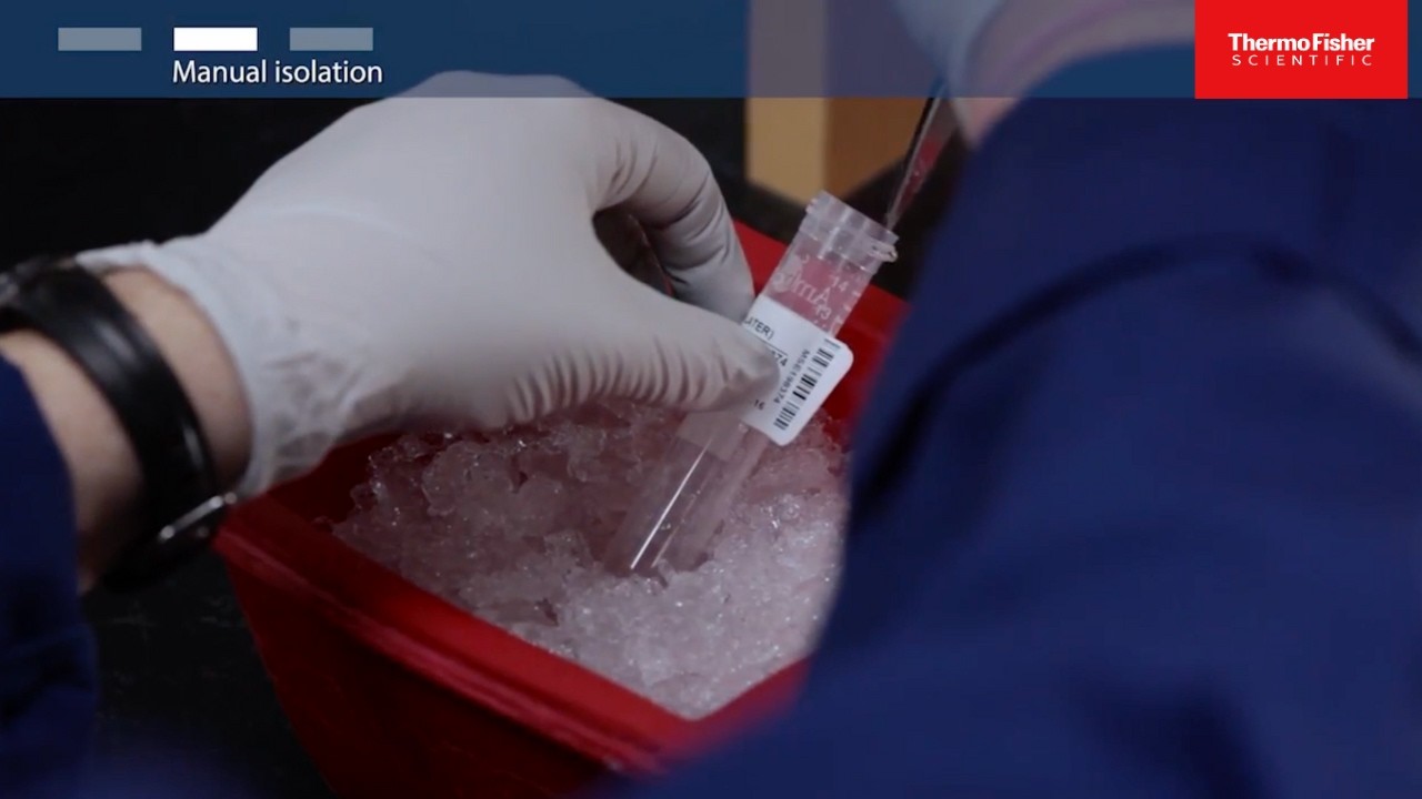 Plasmid DNA Purification: Quick Guide to Molecular-Grade Prep