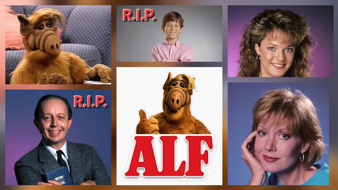 Video Update: ALF- The Memories(Review)