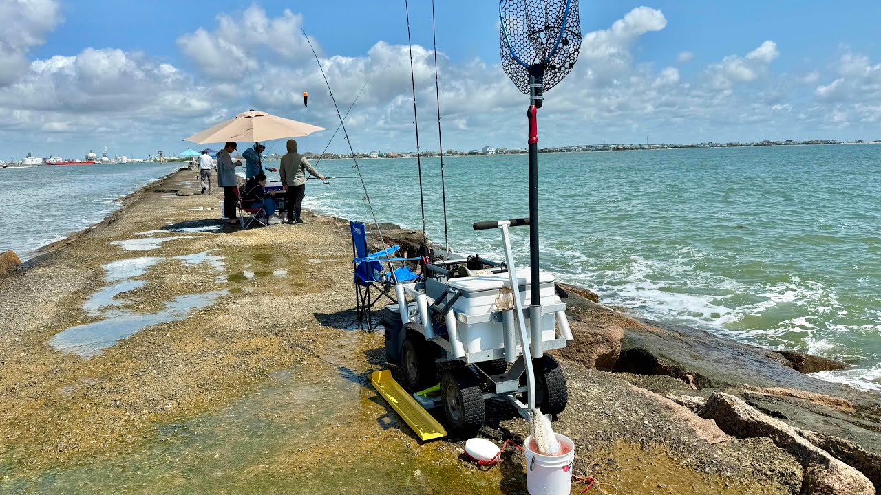 The jetty had a lightning bite for 30 minutes: Catching limits of fish for dinner (S8 E57)