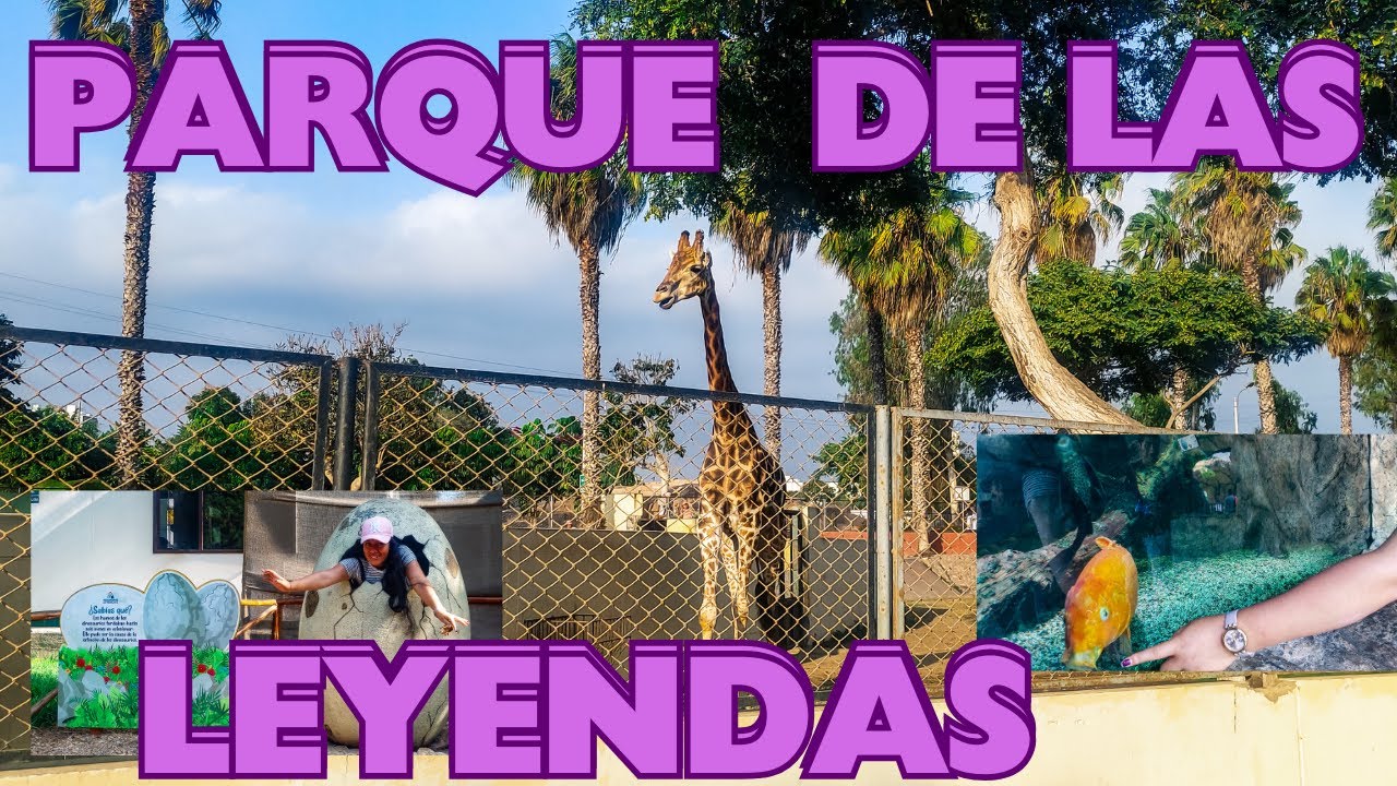 😲 Parque de las Leyendas: Lo que NUNCA debes llevar al zoológico en San Miguel (Parte 2)