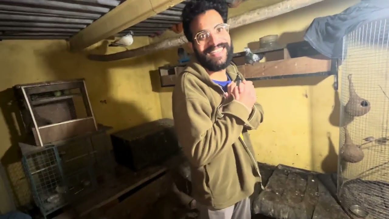 Aaj Apna Chidiya Ghar Mein Ando Ki Baarish 🥚🐦