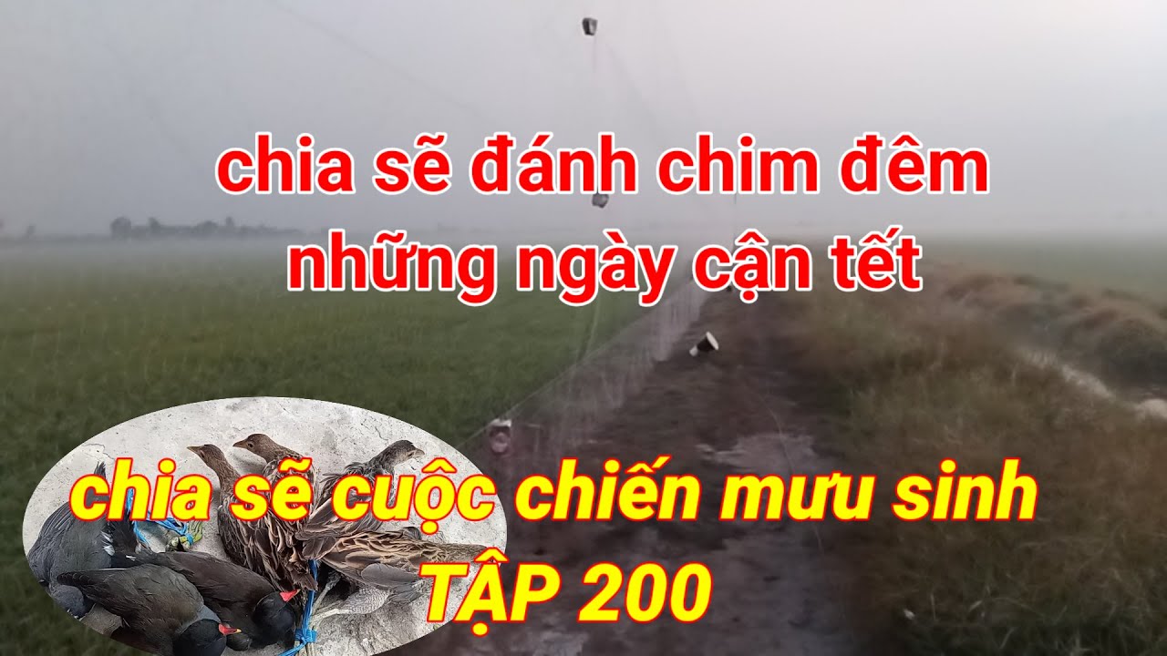 Chia sẽ cuộc chiến mưu sinh tập 200(#sanbatmientaykg )