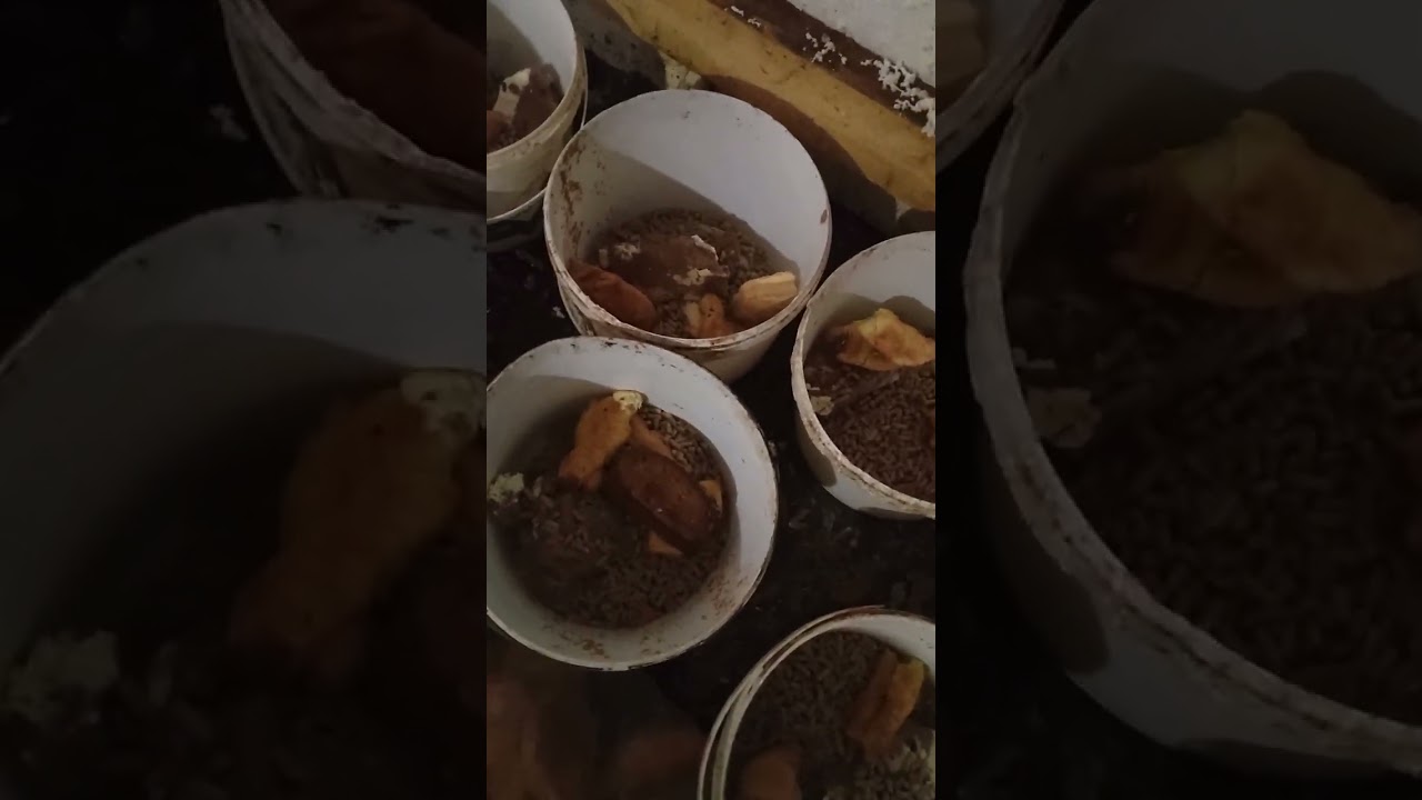 Предпраздничный завтрак!!!