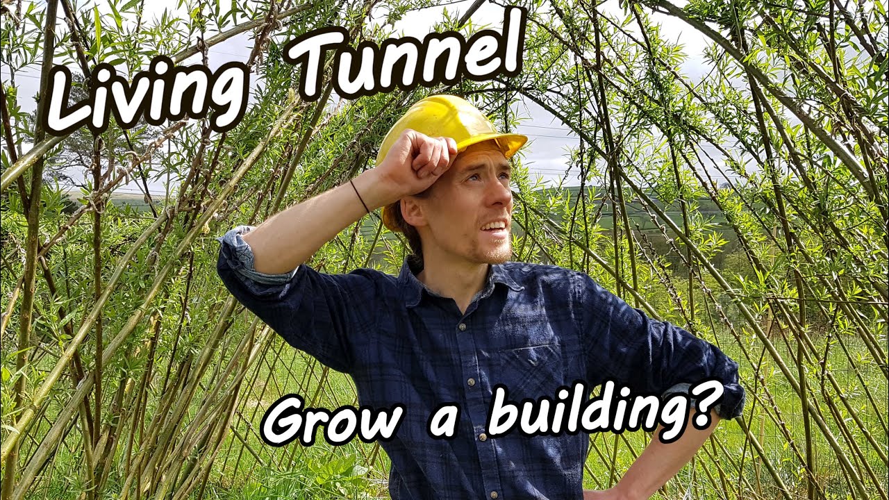 How to build a Living Tunnel!