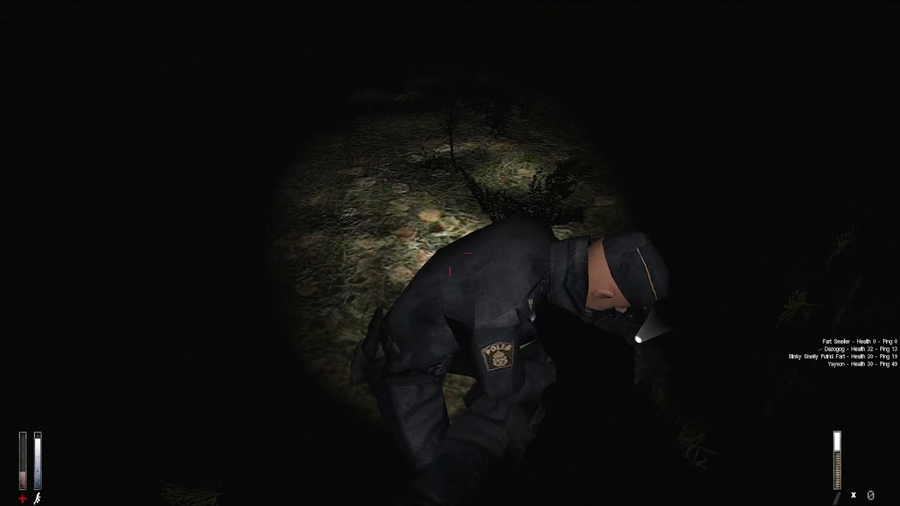 The Cry of Fear Experience