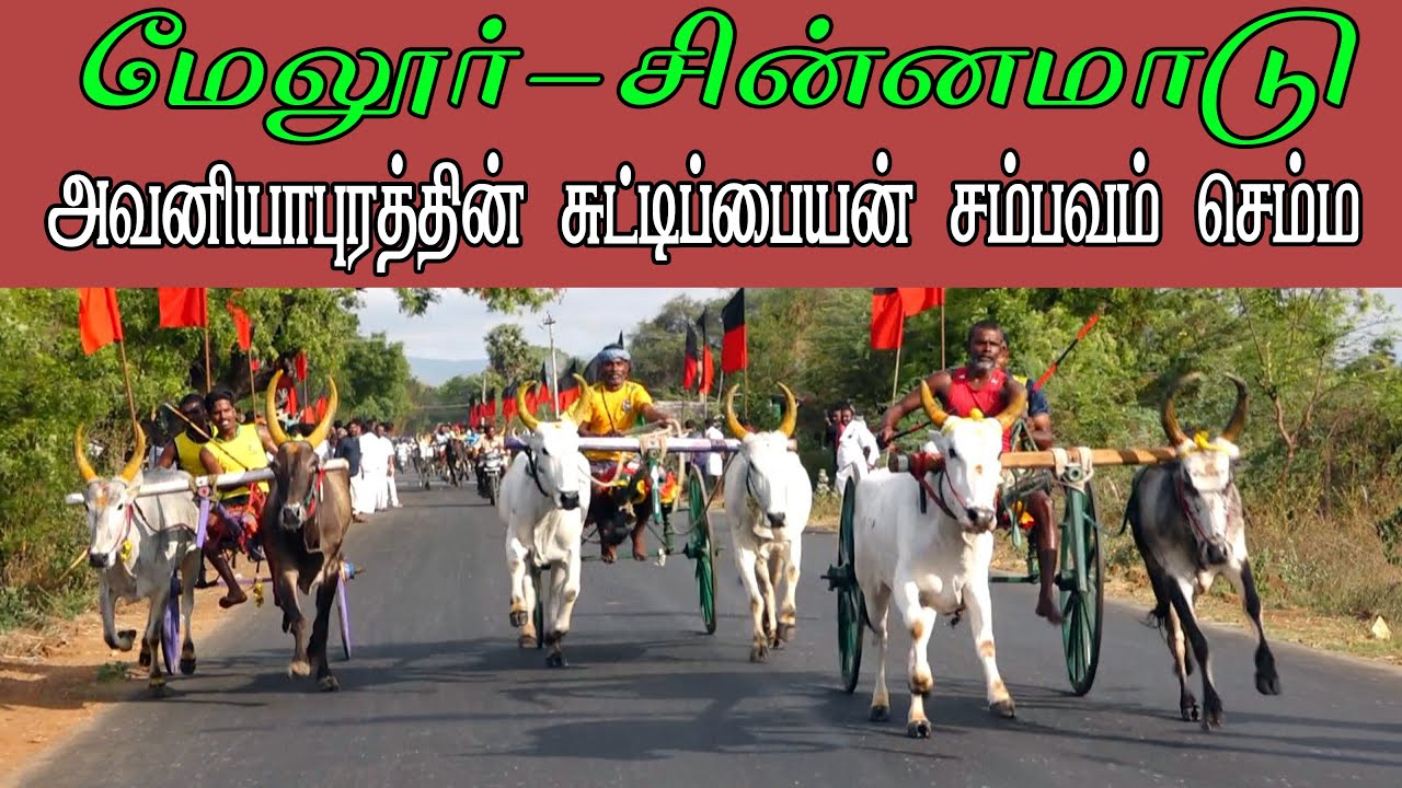 ETSS reckla race - மேலூர் (சின்னமாடு-05.04.2022) bulls race
