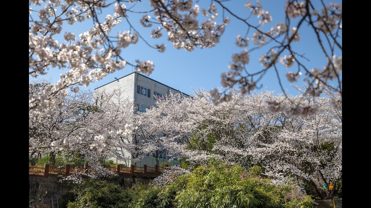 순천제일대학교 - SUNCHEON JEIL REVIEW