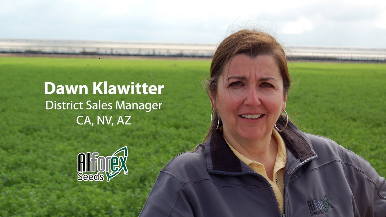 Interview with Dawn Klawitter