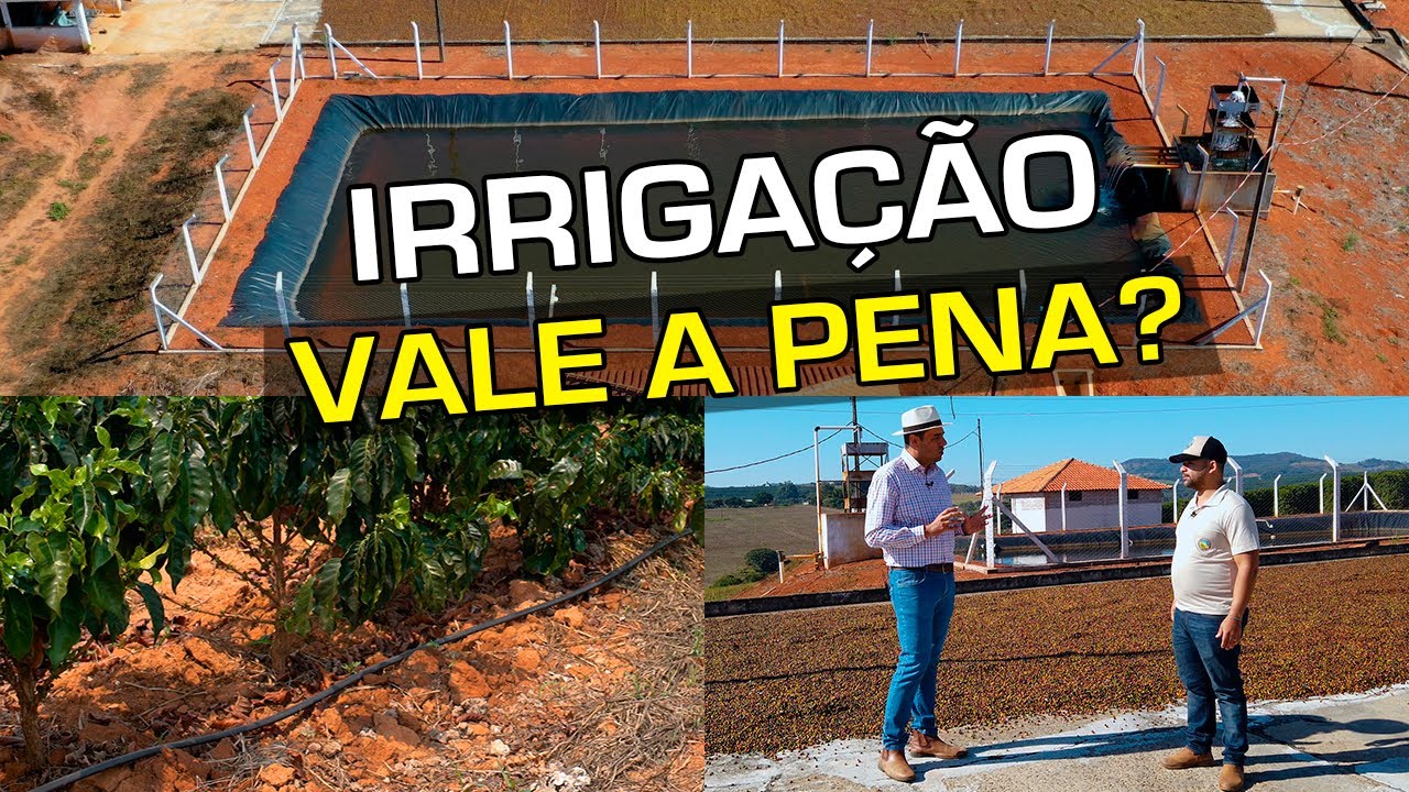Irrigação: Vale a Pena? | No Pé do Café